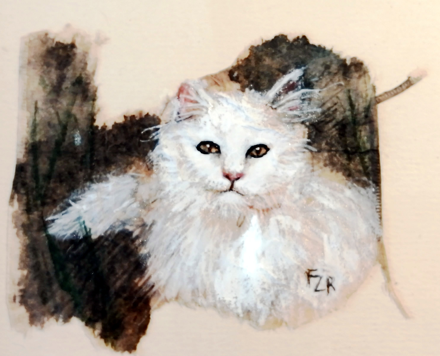 Chatte blanche Weisse Katze, white cat